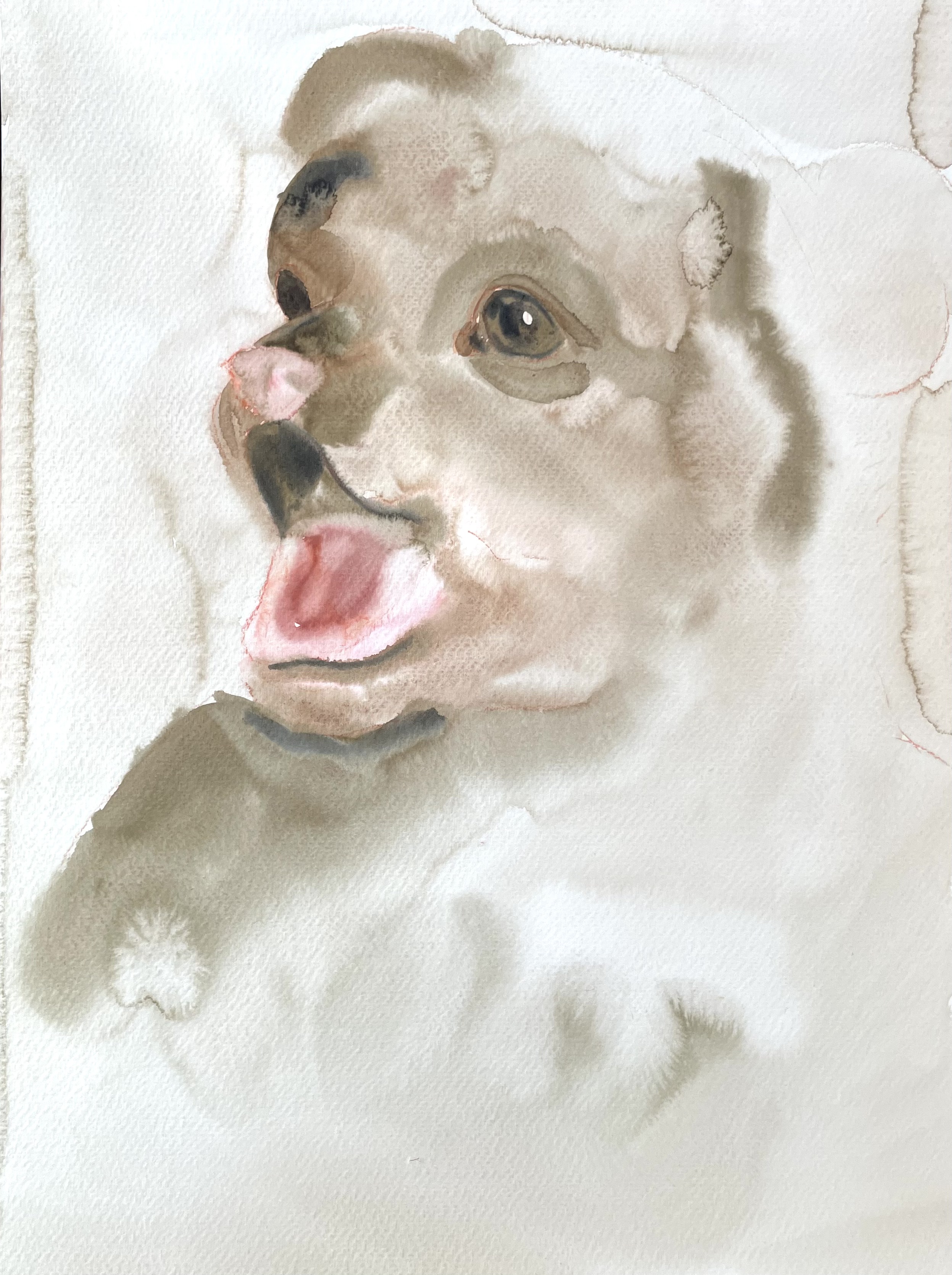  Leonie Specht painting